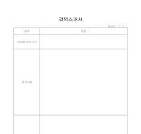 경력소개서(프로그래머) 경력소개서(프로그래머)
